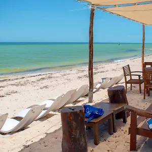 https://technotel-san-benito-beach.hotelsmerida.org
